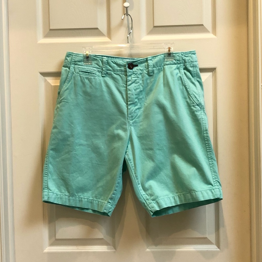 American Eagle Mens Turquoise Classic Shorts